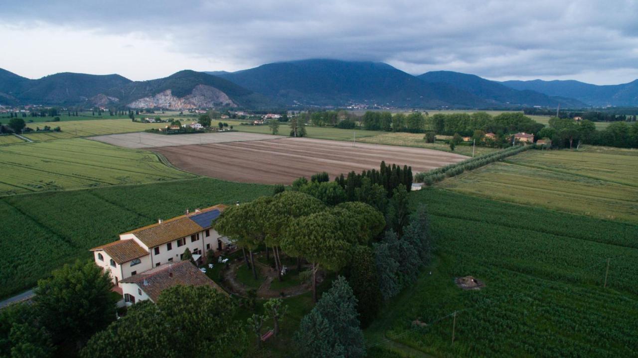 Podere Magnolia ピサ エクステリア 写真